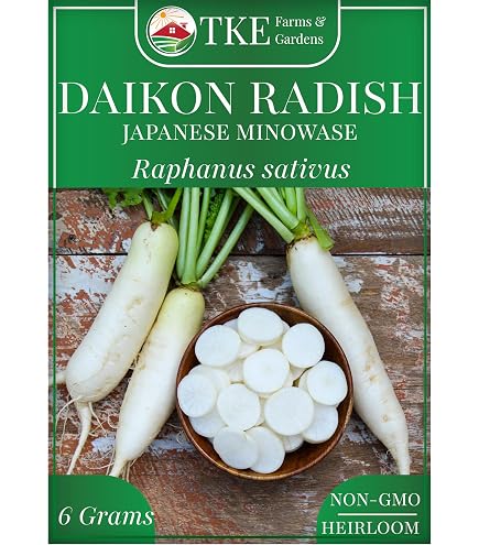 Amazon.com : 1 lb (29,000+ Seeds) Japanese Daikon - Daikon Radish